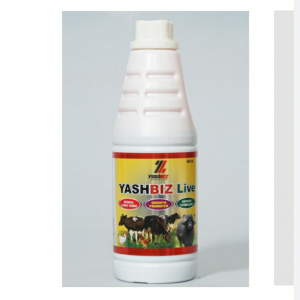 Yashbiz Live