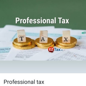 PROFESSIONAL TAX