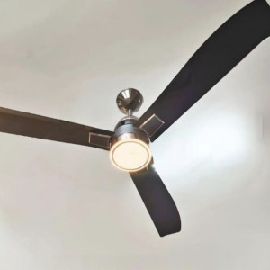 Ceiling fans