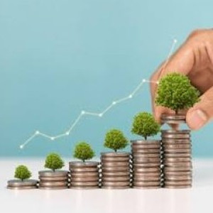 Finance Planing, Fixed Depisite