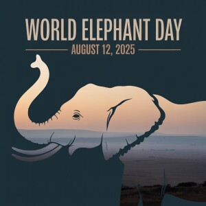 World Elephant Day