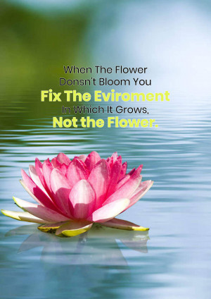 Pink lotus flower on water with motivational text