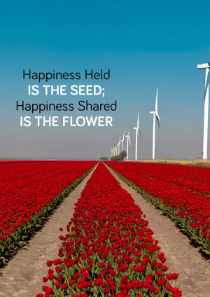 Red tulip field with wind turbines and inspirational quote