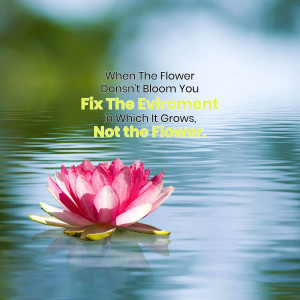 Pink lotus flower floating on water with inspirational quote