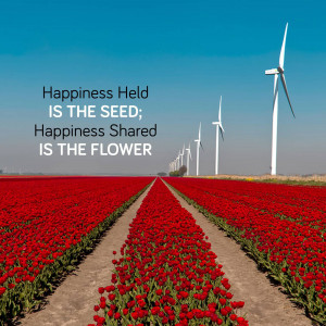 Red tulip field with wind turbines and inspirational quote