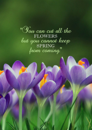 Close-up of purple crocus flowers with a motivational quote about spring.