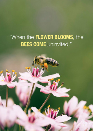 Close-up of a bee collecting pollen from a pink flower with a quote about blooms.