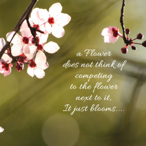 Close-up of delicate pink cherry blossoms with a motivational quote about blooming and self-growth.