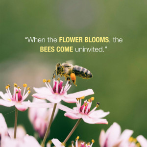 A bee collecting pollen from pink flowers with a motivational quote.