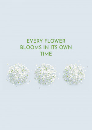 Three white flower spheres with motivational text
