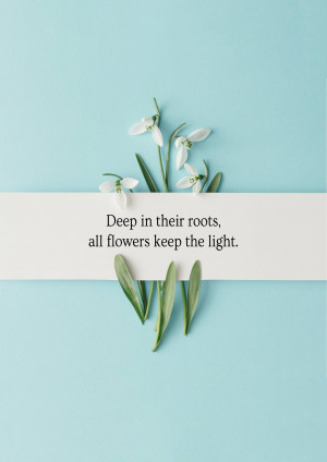 Close-up of snowdrop flowers on a white ribbon with a motivational quote.