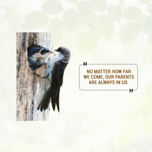 Two birds feeding each other near a tree hole with a quote about parents.