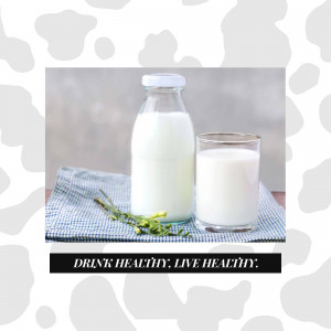 A bottle and glass of milk on a blue checkered cloth with a cow print background.