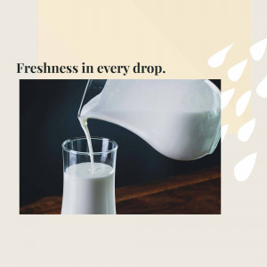 A glass of milk being poured into another glass.