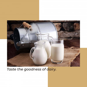 A silver milk can with glasses of milk on a burlap surface.