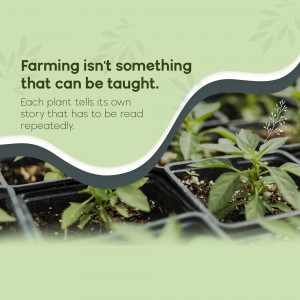 Close-up of small plant seedlings in black trays with text overlay about farming.