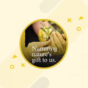 Hands in yellow gloves holding a small plant