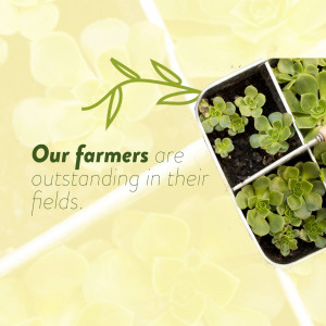 Succulent plant in a metal tray with text 'Our farmers are outstanding in their fields'.