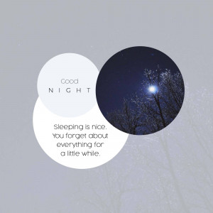 Image with 'Good Night' text and a night scene.