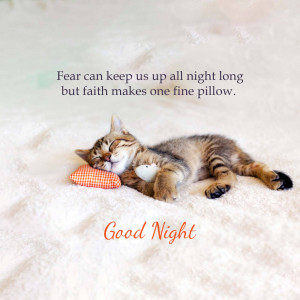 A cute kitten sleeping peacefully on a pillow with an inspirational quote.