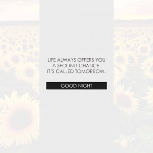Motivational quote with a sunflower background