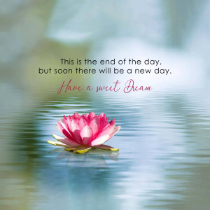 Pink lotus flower floating on water with inspirational quote
