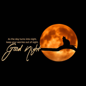 Silhouette of a cat sitting on a branch against a large orange moon with the text 'Good Night'