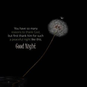 Dandelion seed head with text 'You have so many reasons to thank God, but first thank him for such a peaceful night like this. Good Night'