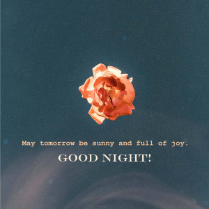 Close-up of a peach-colored rose with text 'Good Night'