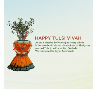 Image depicting Tulsi Vivah celebration with a decorated Tulsi plant.