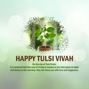 Image depicting a Tulsi plant with a festive greeting for Tulsi Vivah