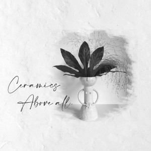 A black and white image of a vase with a plant in front of a textured wall.