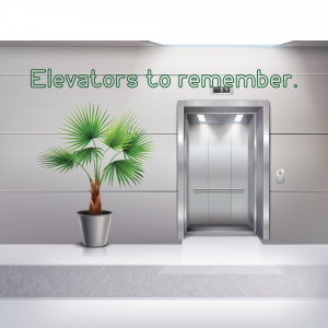 An elevator in a modern building with a potted plant.