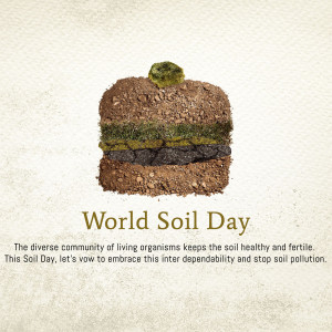 Image depicting soil layers resembling a burger, with text 'World Soil Day'