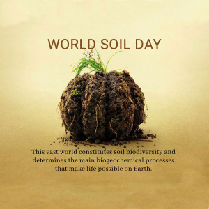 Image depicting soil with sprouting grass for World Soil Day