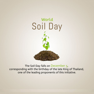 World Soil Day graphic with a seedling growing from soil