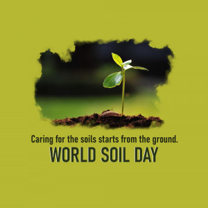 A small plant growing through cracked earth with the text 'Caring for the soils starts from the ground. WORLD SOIL DAY'