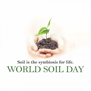 Hands holding soil with a small green plant growing, celebrating World Soil Day.