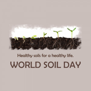 Illustration of a seedling growing from soil, representing World Soil Day.