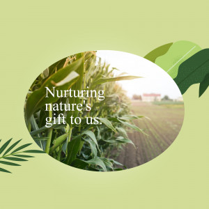 Cornfield with text overlay 'Nurturing nature's gift to us.'