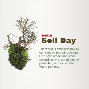 Image promoting World Soil Day with a tree root ball and text.