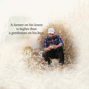 A farmer kneeling in a field examining a plant.