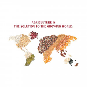 World map made of various grains and seeds with text 'Agriculture is the solution to the growing world.'