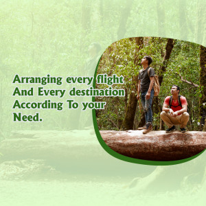 Two men looking up at a forest canopy, travel planning advertisement.