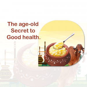 Image of ghee in a traditional pot with a cow and Taj Mahal in the background.