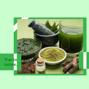 A still life of traditional herbal medicine ingredients including a mortar and pestle, powdered herbs, and a glass of green juice.