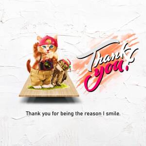 Thank You Kitten Photographer Marketing Image For Twitter