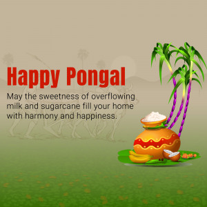 Pongal festival greeting with sugarcane and pot of milk