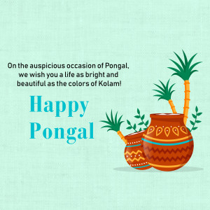 Happy Pongal wish with Kolam and plant illustration