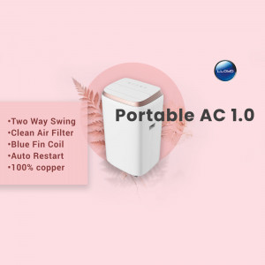 Lloyd Portable AC 1.0 with features listed